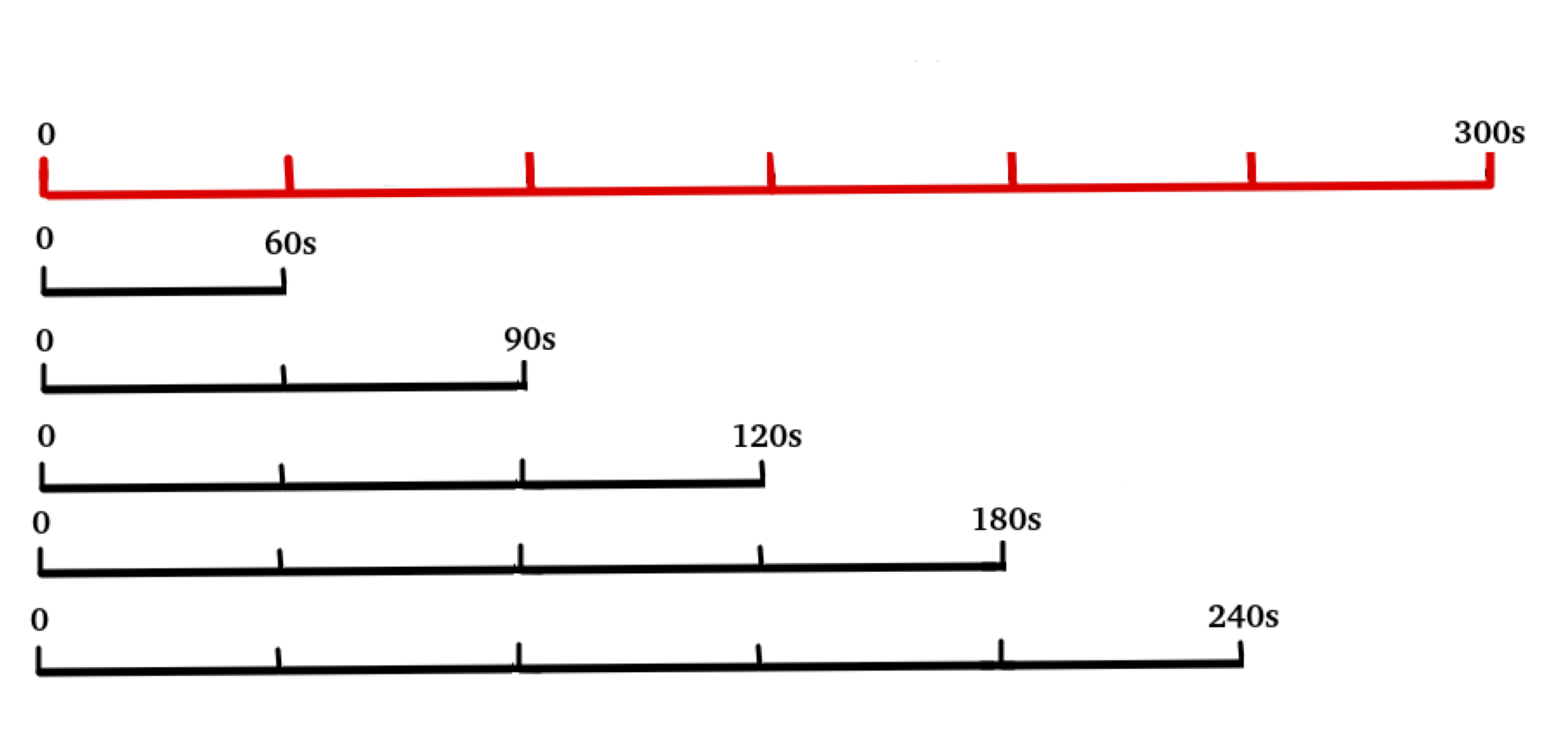 RR series graphic representation with different time lengths in seconds starting from the beginning. The series of 300s corresponds to the Gold Standard.
