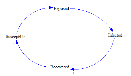 Basic causal loop for the SEIR model